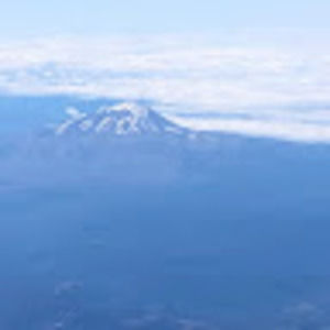 Meet your Posher, Iris